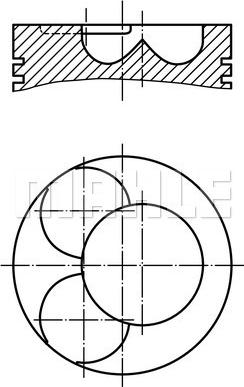 MAHLE 014 92 02 - Piston - allinparts.ro