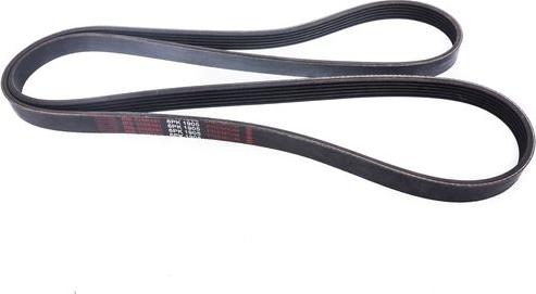 MASTER-SPORT 6PK1893-PCS-MS - Curea transmisie cu caneluri - allinparts.ro