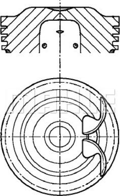 METAL LEVE P9743 - Piston - allinparts.ro