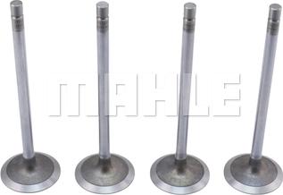 METAL LEVE VA0211732 - Supapa admisie allinparts.ro