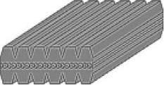 MGA CSD61817 - Curea transmisie cu caneluri - allinparts.ro