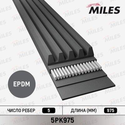 Miles 5PK975 - Curea transmisie cu caneluri allinparts.ro