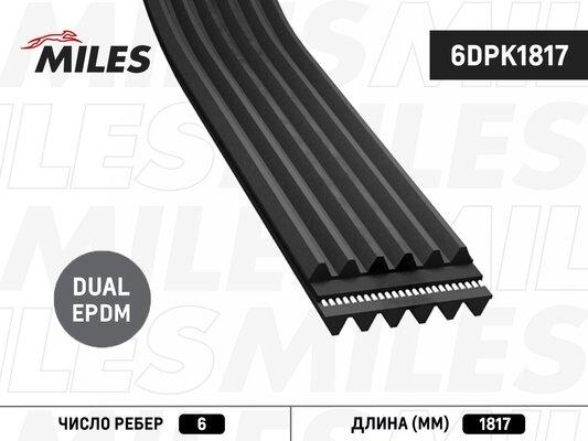 Miles 6DPK1817 - Curea transmisie cu caneluri - allinparts.ro