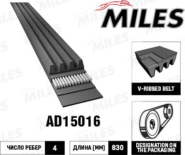 Miles AD15016 - Curea transmisie cu caneluri - allinparts.ro