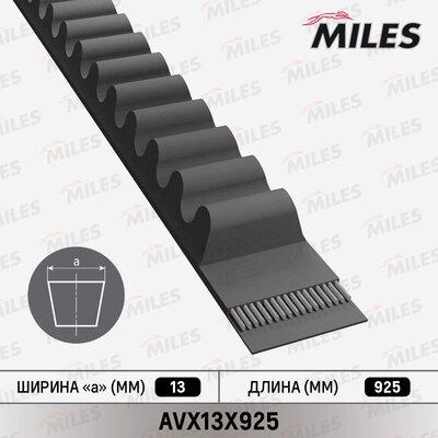 Miles AVX13X925 - Curea transmisie - allinparts.ro