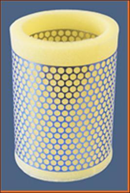 Champion CAF100165R - Filtru aer - allinparts.ro