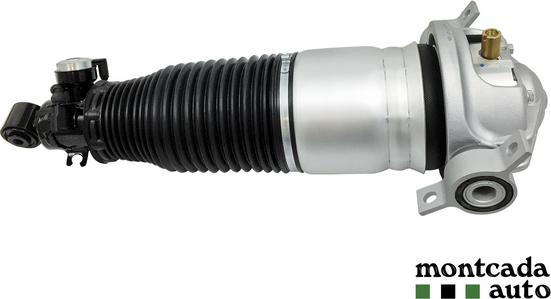 Montcada 0296950 - Brat arc pneumatic - allinparts.ro