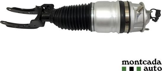 Montcada 0296960 - Brat arc pneumatic - allinparts.ro