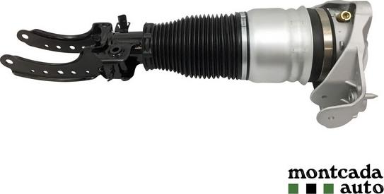 Montcada 0296930 - Brat arc pneumatic - allinparts.ro