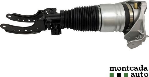 Montcada 0296920 - Brat arc pneumatic - allinparts.ro