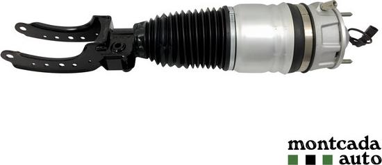 Montcada 0296970 - Brat arc pneumatic - allinparts.ro