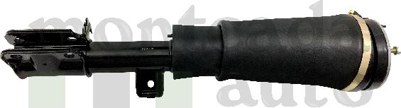 Montcada 0296425 - Brat arc pneumatic - allinparts.ro