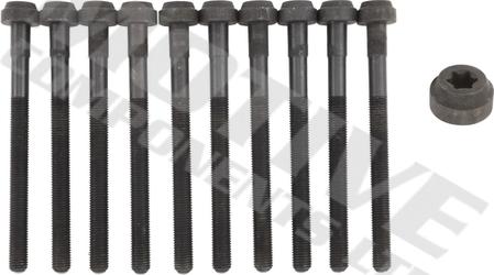MOTIVE HB1638SET - Set surub, chiulasa - allinparts.ro