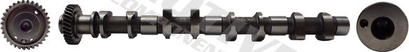 MOTIVE T8199 - Ax cu came allinparts.ro