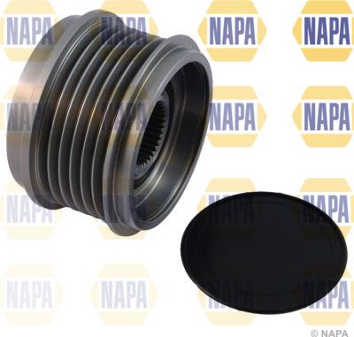 NAPA NOP1116 - Fulie, alternator allinparts.ro