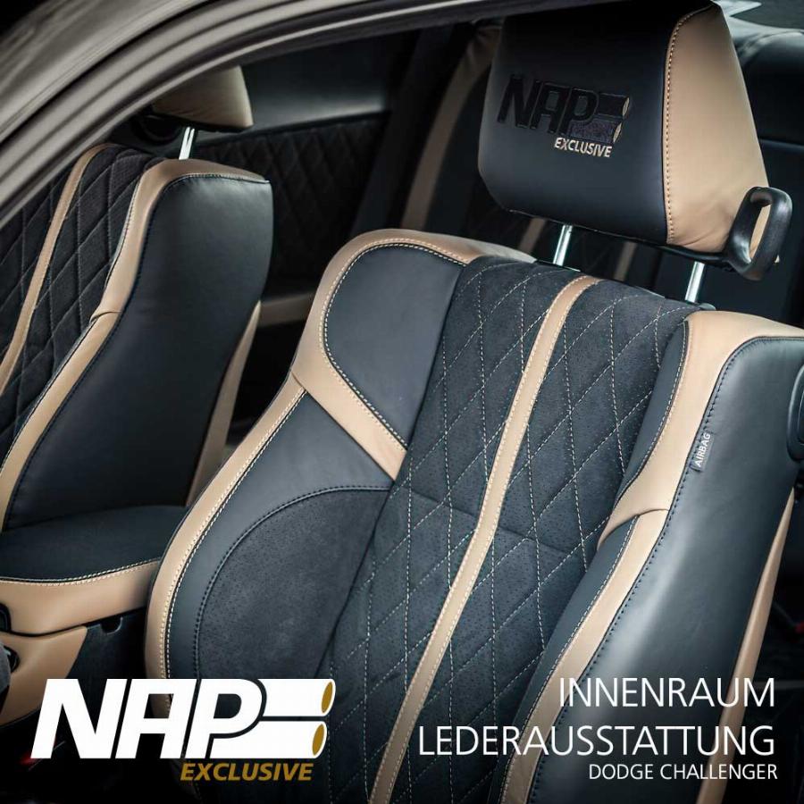 NAPEXCLUSIVE BEZ660001 - Captusire pavilion interior allinparts.ro