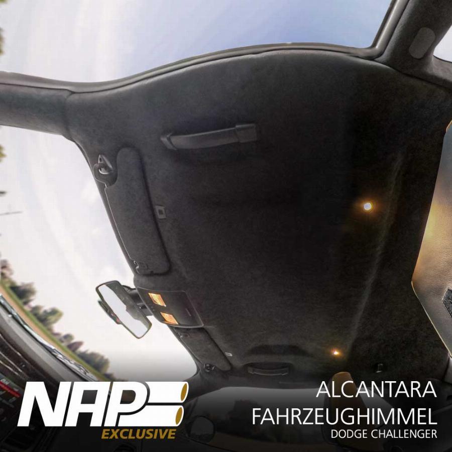 NAPEXCLUSIVE HIM660001 - Captusire pavilion interior allinparts.ro