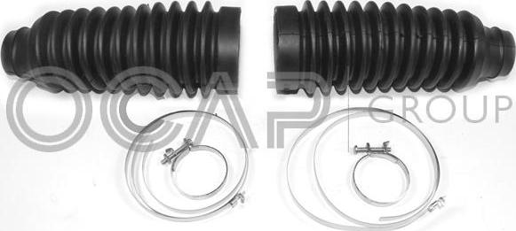 OCAP 0901678 - Ansamblu burduf, directie allinparts.ro