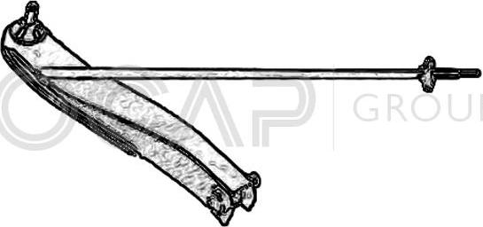 OCAP 0393010 - Brat, suspensie roata - allinparts.ro