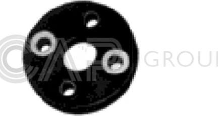 OCAP 1230106 - Flansa, coloana directie - allinparts.ro