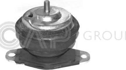 OCAP 1225555 - Suport motor - allinparts.ro