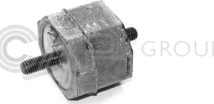 OCAP 1225096 - Suport motor - allinparts.ro