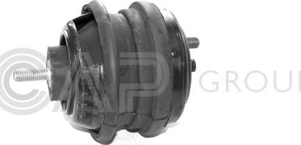 OCAP 1225136 - Suport motor - allinparts.ro