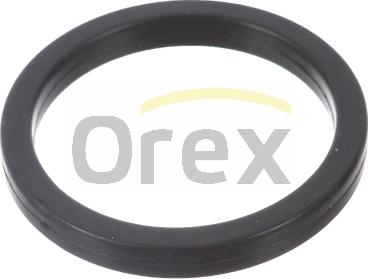 Orex 616004 - Garnitura, pompa de apa allinparts.ro