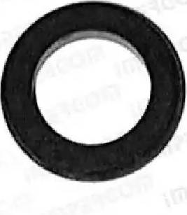 IMPERGOM 22222 - Burduf cauciuc, pompa centrala frana - allinparts.ro