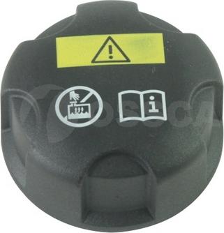OSSCA 49954 - Buson,radiator allinparts.ro