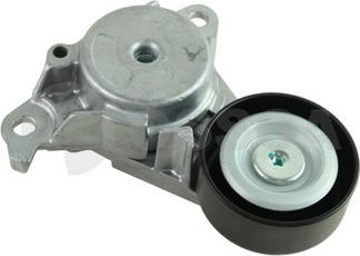 OSSCA 69032 - Amortizor vibratii, curea transmisie cu caneluri - allinparts.ro