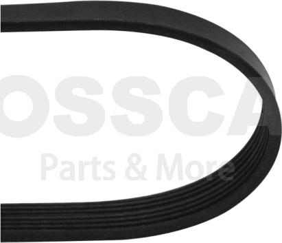 OSSCA 88443 - Curea transmisie cu caneluri allinparts.ro