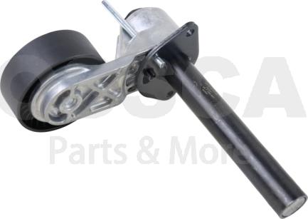 OSSCA 78822 - Amortizor vibratii, curea transmisie cu caneluri - allinparts.ro