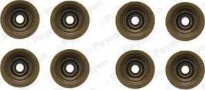 Payen HR5051 - Set garnituri, ax supape allinparts.ro