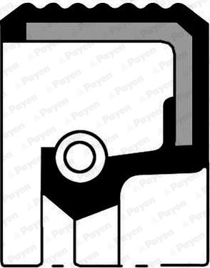 Payen NF869 - Simering, ax cu came - allinparts.ro