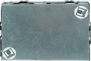 Pika 100-1130 - Unitate de control,management motor allinparts.ro