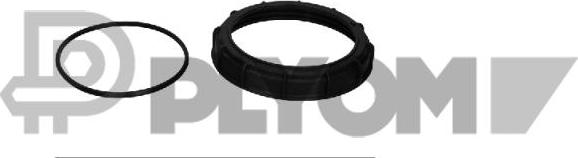 PLYOM P955374 - Buson,rezervor de combustibil - allinparts.ro