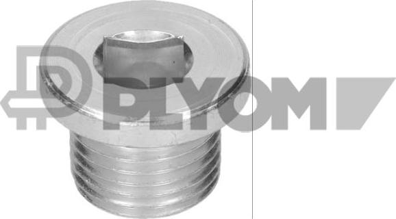 PLYOM P952004 - Surub de golire,baia de ulei allinparts.ro