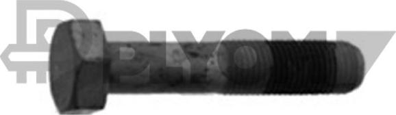 PLYOM P757043 - Surub fulie - allinparts.ro