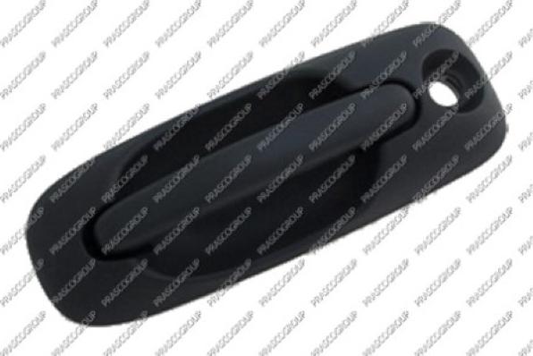Prasco DG0058002 - Maner usa - allinparts.ro