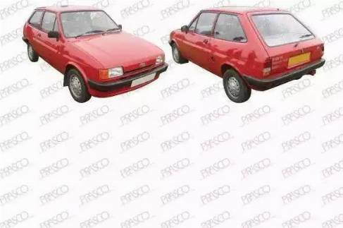 Prasco FD0400602 - Panou lateral allinparts.ro