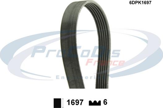 Procodis France 6DPK1697 - Curea transmisie cu caneluri - allinparts.ro