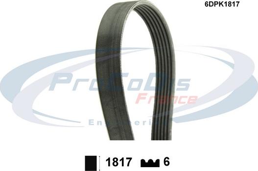 Procodis France 6DPK1817 - Curea transmisie cu caneluri - allinparts.ro