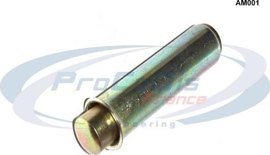 Procodis France AM001 - Amortizor vibratii, curea distributie - allinparts.ro
