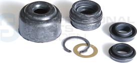 Professional Parts 41341291 - Set reparatie, pompa centrala ambreiaj - allinparts.ro