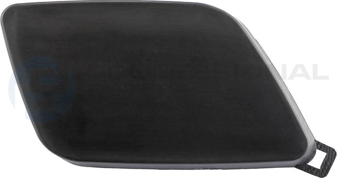CARRO 858007830 - Acoperire tampon,sistem de remorcare allinparts.ro