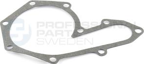 Professional Parts 26435626-1 - Garnitura, pompa de apa - allinparts.ro