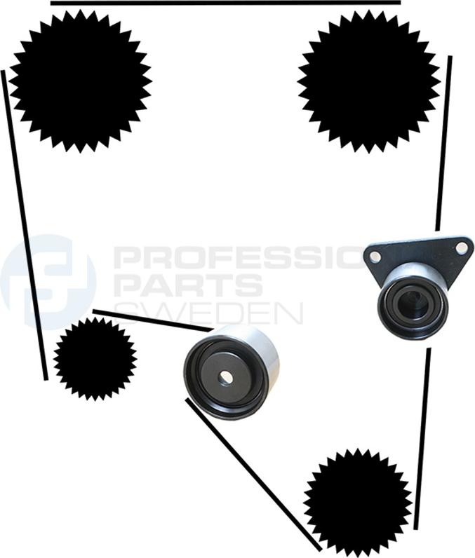 Professional Parts 21430018 - Set curea de distributie - allinparts.ro