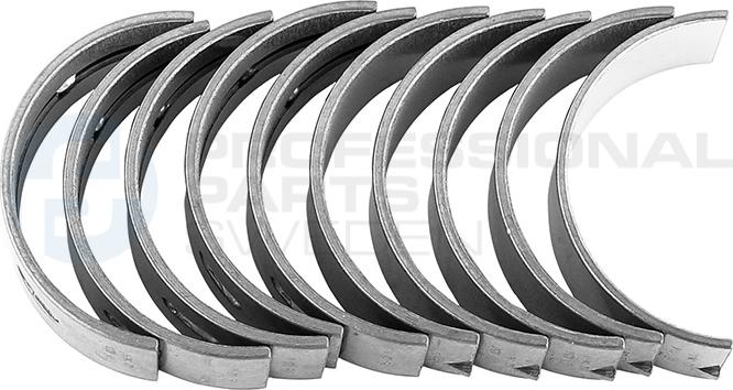 Professional Parts 21431238 - Set rulemt arbore cotit allinparts.ro