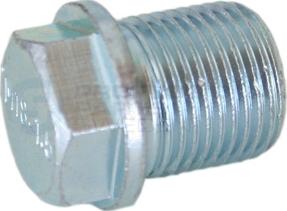 Professional Parts 21438138 - Surub de golire,baia de ulei - allinparts.ro